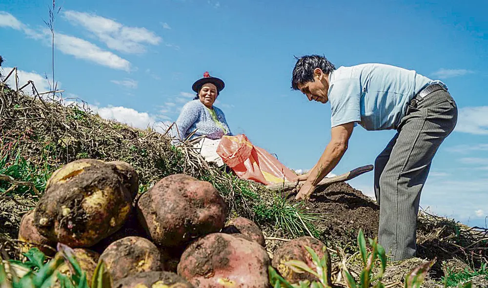 Ante alzas. Agricultores esperan nuevas medidas. Foto: difusión Ante alzas. Agricultores esperan nuevas medidas. Foto: difusión