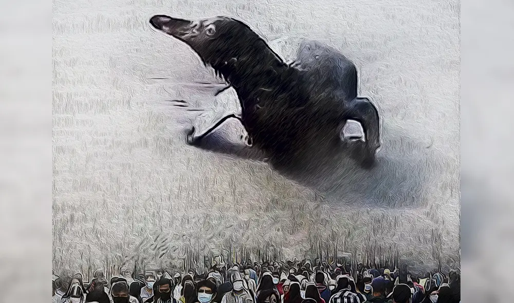 Vida. Salió del mar, buscando ayuda de la misma especie que lo había expuesto a ese veneno oscuro que amenazaba su vida. Foto: difusión