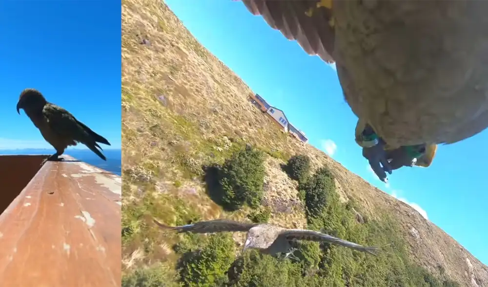 Hasta el momento, el clip tiene más de 215.000 'me gusta'. Foto: captura de YouTube