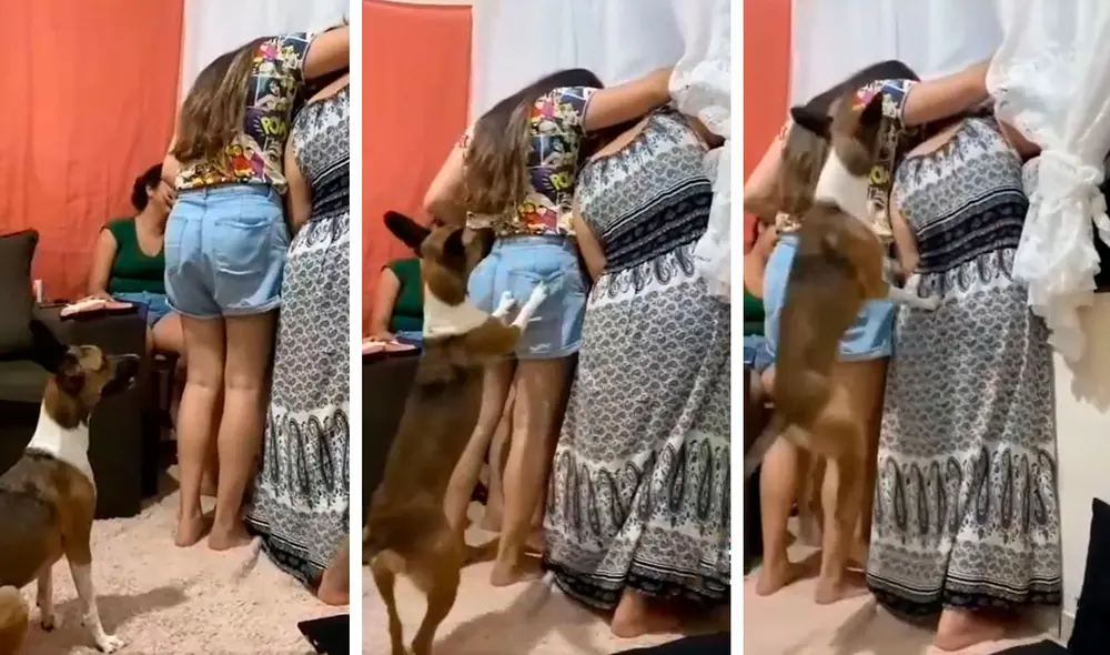 Una madre y sus hijas se colocaron en la ventana para simular que veían algo en su vecindario, sin imaginar la curiosa reacción que tendría su mascota. Foto: captura de Facebook