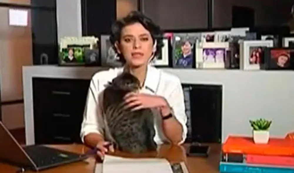 Una mujer tuvo que trabajar desde su casa a causa de la pandemia; sin embargo, su gato aprovechó para hacer de las suyas. Foto: captura de YouTube