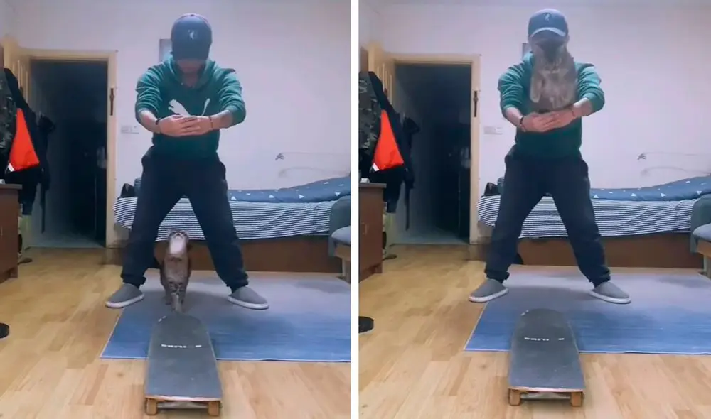 Un gato obedeció a la perfección las indicaciones de su dueño y pegó un gran brinco para pasar un improvisado desafío en casa. Foto: captura de Facebook