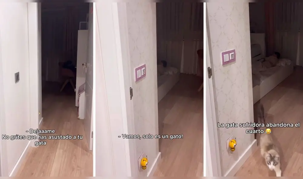 La conmovedora escena ha conseguido más de 4 millones de reproducciones. Foto: captura de TikTok La conmovedora escena ha conseguido más de 4 millones de reproducciones. Foto: captura de TikTok