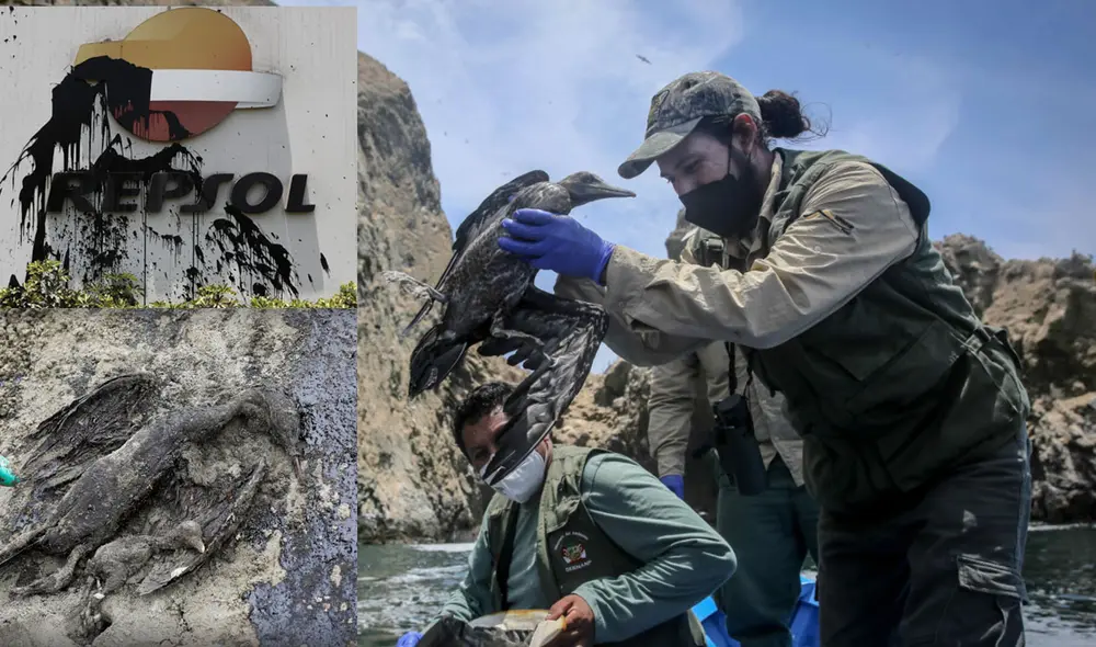 Repsol tardó varios días en comunicar la real magnitud del derrame de petróleo. Foto: composición/La República