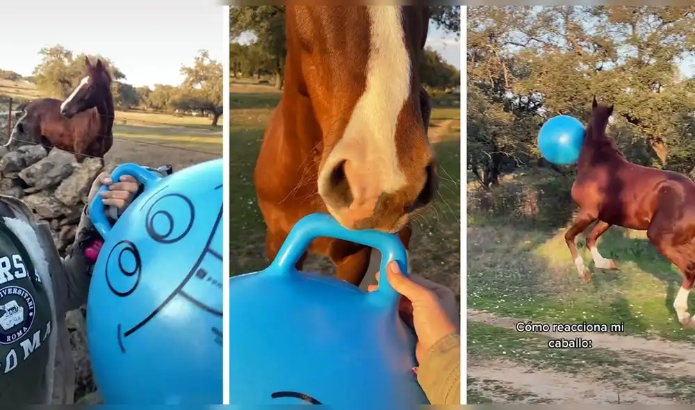 La escena consiguió más de 10,7 millones de reproducciones. Foto: captura de TikTok