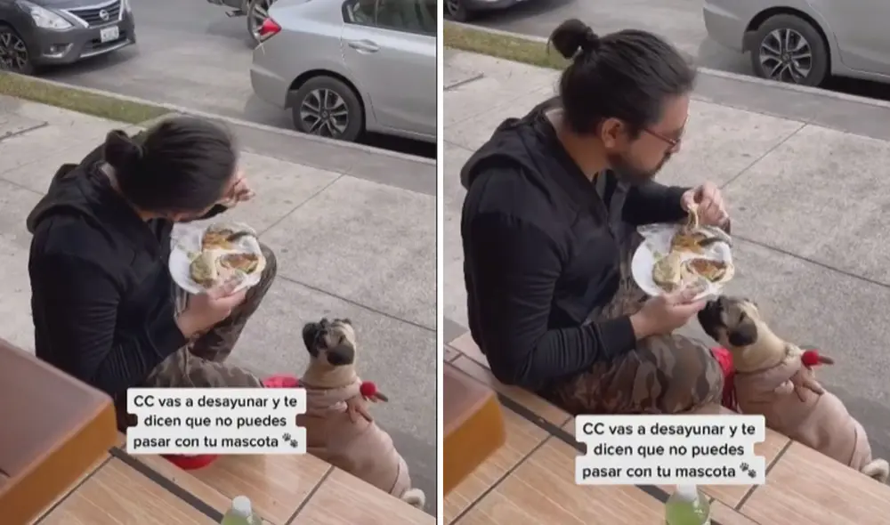 El muchacho se negó a dejar a su mascota fuera, así que tomó una radical decisión. Foto: captura de TikTok
