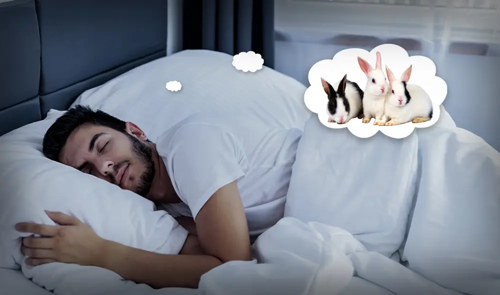 El significado de soñar con un conejo puede variar según diversos factores. Foto: composición de Jazmín Ceras / La República