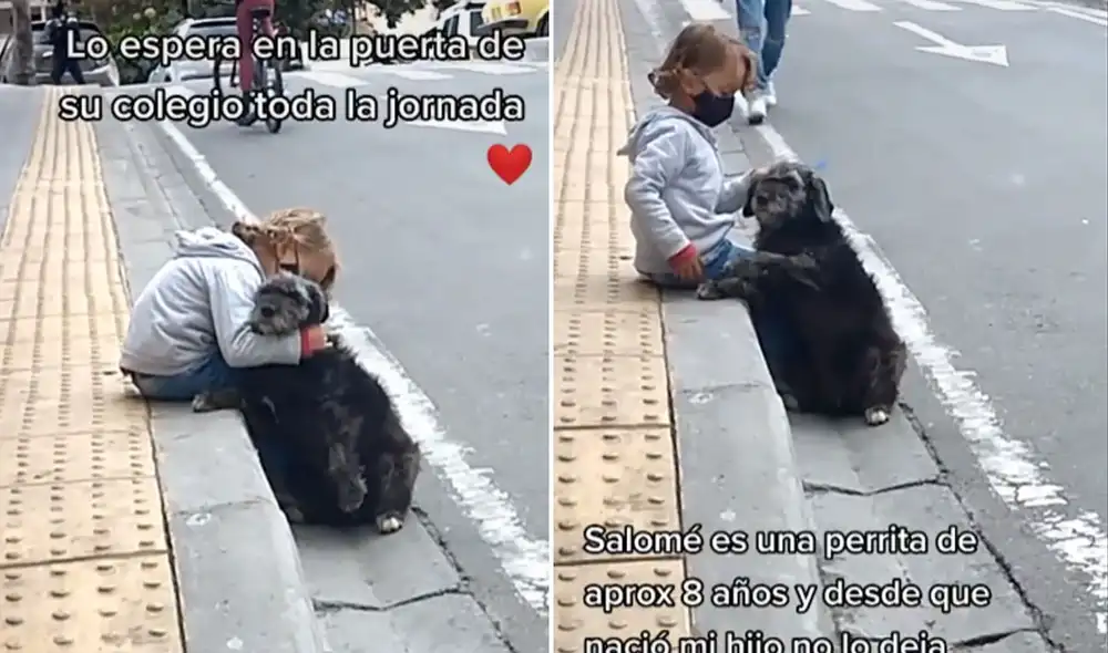 Miles de usuarios han quedado sumamente conmovidos al conocer este tierno caso. Foto: captura de TikTok Miles de usuarios han quedado sumamente conmovidos al conocer este tierno caso. Foto: captura de TikTok