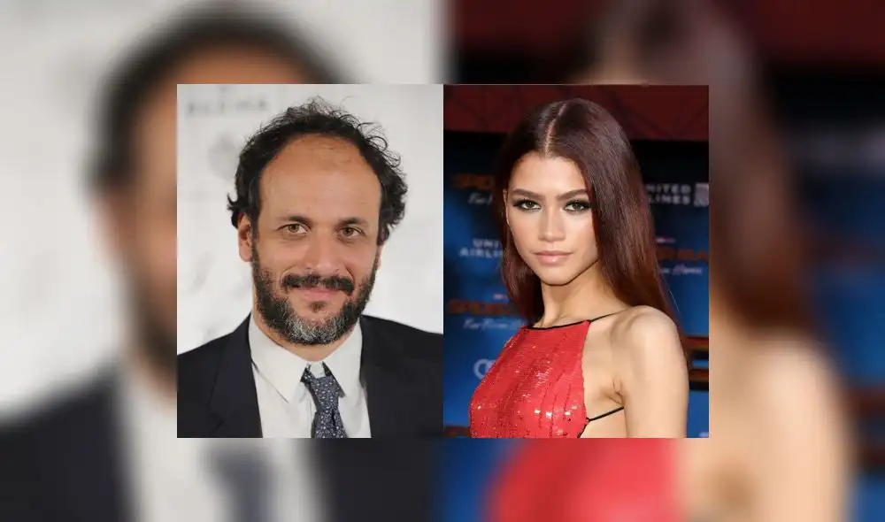 Director Luca Guadagnino y Zendaya. Foto: composición/Instagram/IMDb