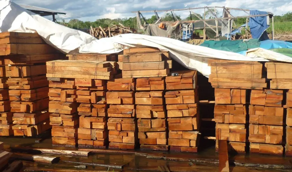 ADEX. Las empresas que más exportaron madera en el 2021 fueron IMK Maderas, Grupo Maderero Amaz, Maderera Bozovich, E & J Matthei Maderas del Perú, e Industria Forestal Huayruro. Foto: difusión