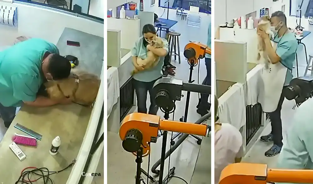 El clip consiguió más de 5.3 millones de visualizaciones en Facebook. Foto: captura de Facebook