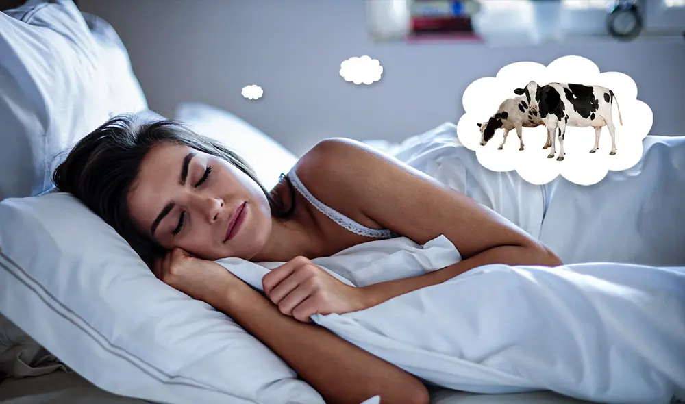 Soñar con vacas implica un buen augurio económico.