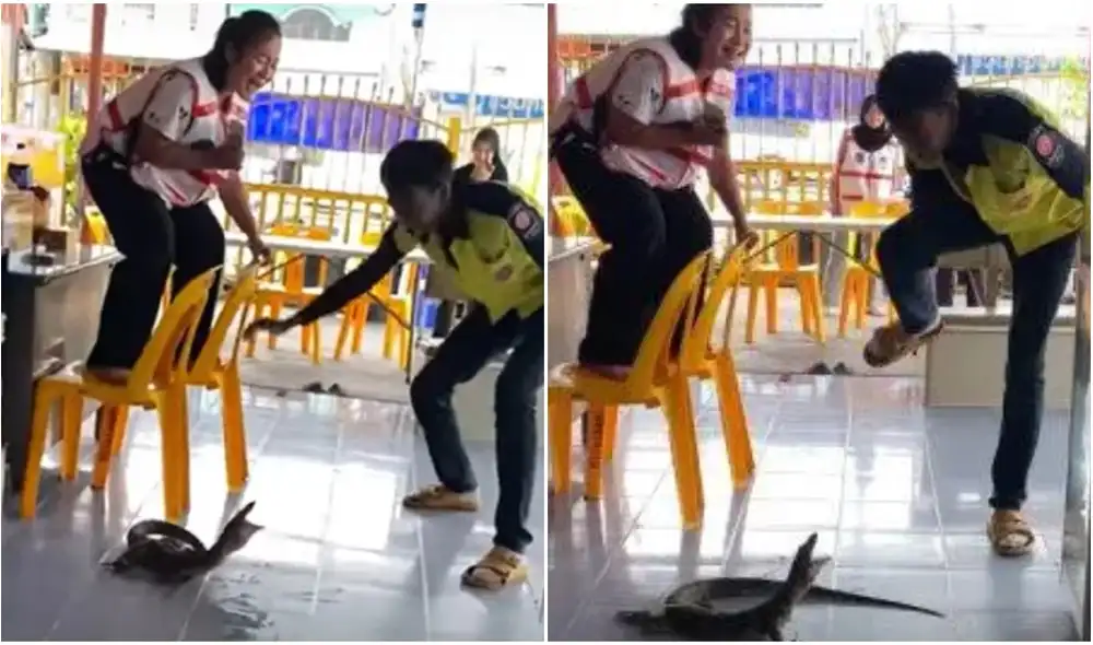 El incidente tuvo lugar en Narathiwat, Tailandia. Foto: captura de YouTube