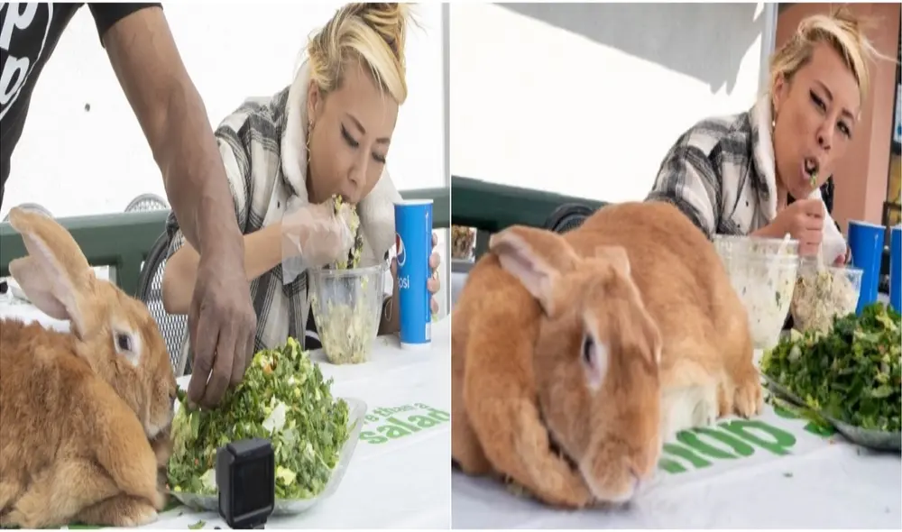 Raina Huang se consagró, en tan solo 10 minutos, como ganadora de la competencia. Foto: captura de YouTube.