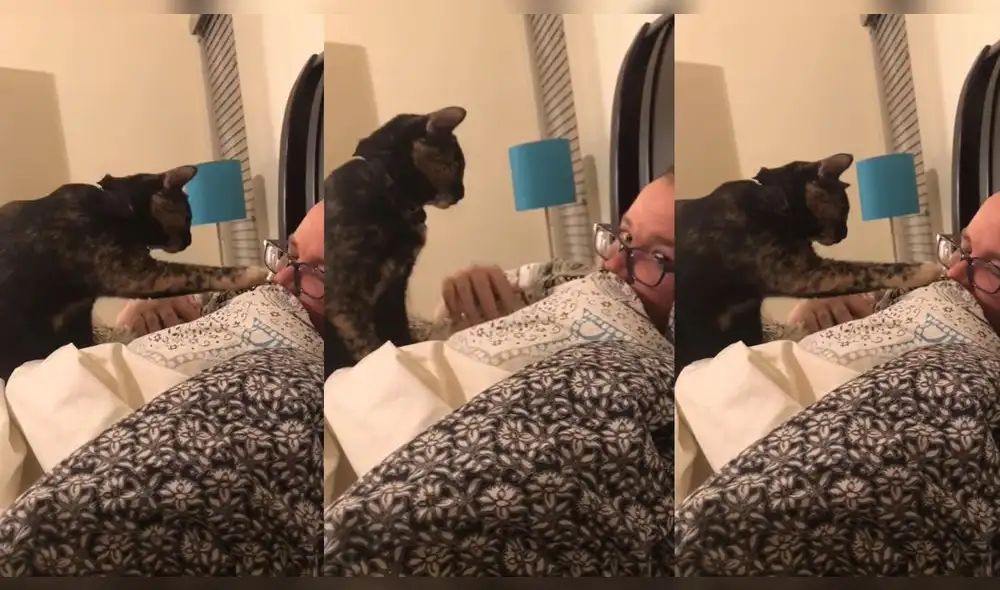 Esto ocurrió en un hogar de Austin, Texas, USA. Foto: captura de YouTube Esto ocurrió en un hogar de Austin, Texas, USA. Foto: captura de YouTube