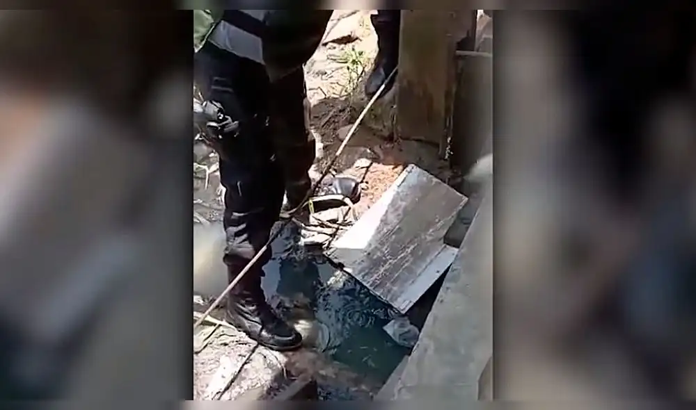 Un grupo de ciudadanos que transitaba por la zona dio aviso a la Policía Nacional del Perú. Foto: Radio Madre de Dios