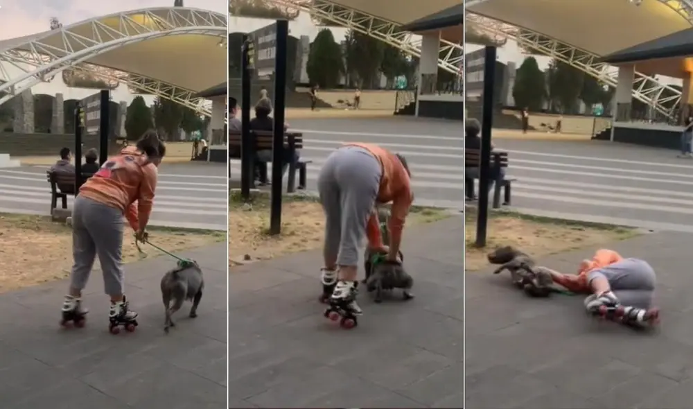 Los usuarios se mostraron aliviados al conocer que el can no había tenido problemas tras el accidente protagonizado con su dueña. Foto: captura de TikTok Los usuarios se mostraron aliviados al conocer que el can no había tenido problemas tras el accidente protagonizado con su dueña. Foto: captura de TikTok