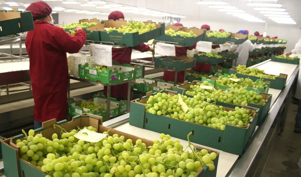 La uva fresca fue el producto más demandado. Foto: Andina.