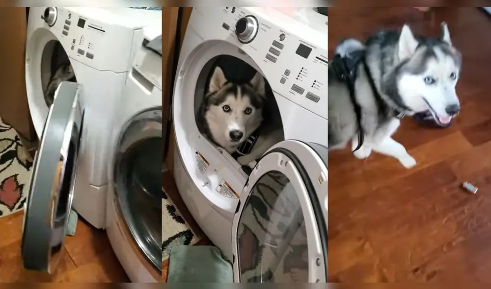 Esto ocurrió en Delaware, USA. Foto: captura de YouTube