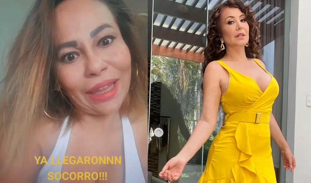 'Mujer Boa' le lanzó tremenda respuesta a Janer Barboza. Imagen: Composición/Tiktok-Instagram 'Mujer Boa' le lanzó tremenda respuesta a Janer Barboza. Imagen: Composición/Tiktok-Instagram