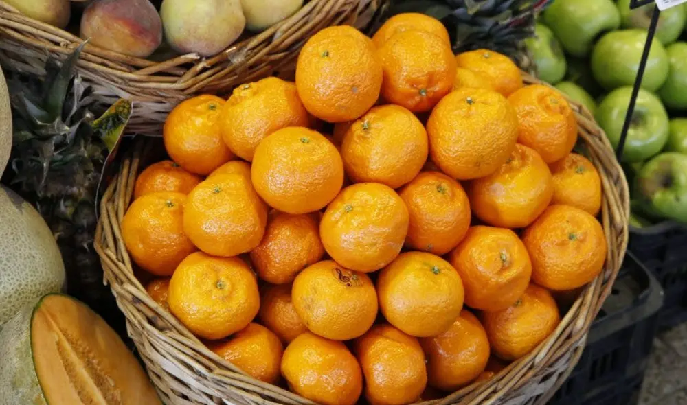 Descubre los mejores consejos para conservar fresca la fruta, pese al calor del verano. Foto: EFE Descubre los mejores consejos para conservar fresca la fruta, pese al calor del verano. Foto: EFE