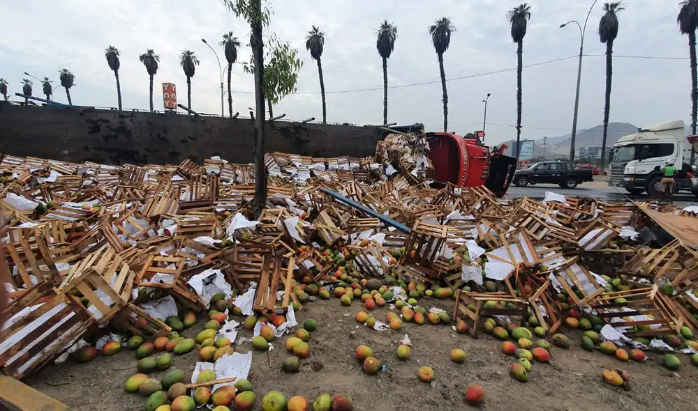 Camión aún continúa en la Panamericana Sur. Foto: Jessica Merino / URPI-LR Camión aún continúa en la Panamericana Sur. Foto: Jessica Merino / URPI-LR