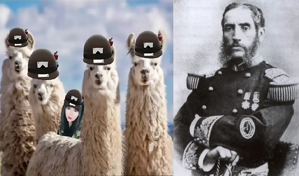 El clip consiguió más de 272.600 visualizaciones en TikTok. Foto: captura de TikTok