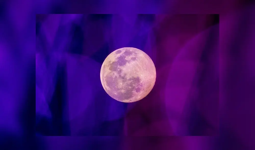 Leo es un signo que se caracteriza por ser generoso y acogedor. Foto: Jack TAYLOR / AFP