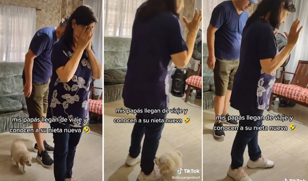 Los padres del joven no podían creer que su hijo había llevado a un perrito sin su consentimiento. Foto: captura de TikTok