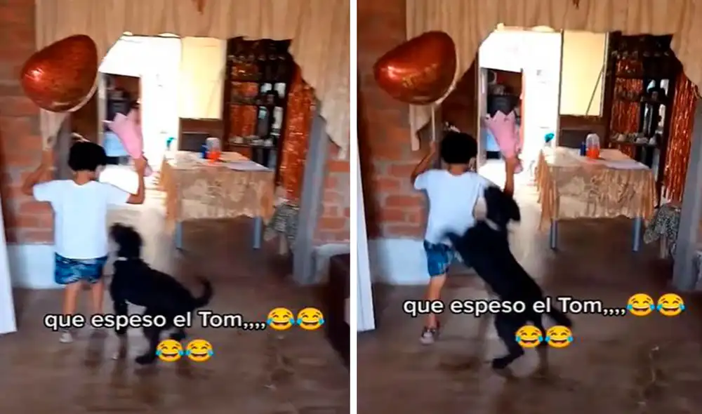 Un pequeño trató de evitar a toda costa que su inquieta mascota no estropee la sorpresa; sin embargo, no pudo lograr el objetivo. Foto: captura de Facebook Un pequeño trató de evitar a toda costa que su inquieta mascota no estropee la sorpresa; sin embargo, no pudo lograr el objetivo. Foto: captura de Facebook