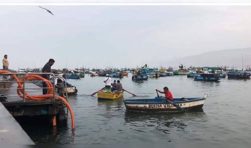 Pescadores piden apoyo para poder sustentar a sus familias. Foto: Gianella Aguirre / URPI - LR
