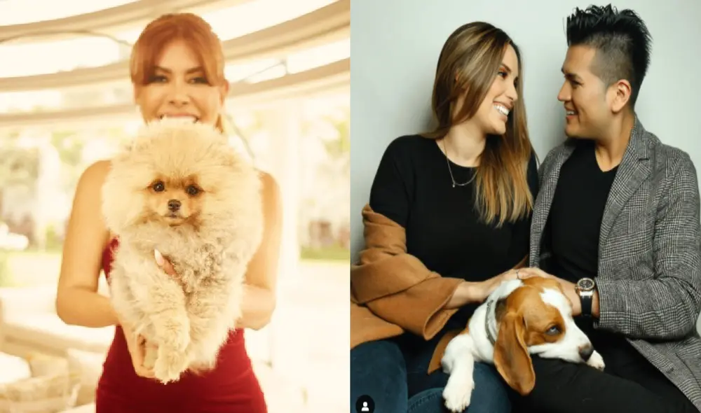 La presentadora habló de las mascotas de los novios Orosco Sánchez de Lamadrid. Foto: Magaly Medina/Cassandra Sánchez de Lamadrid/Instagram