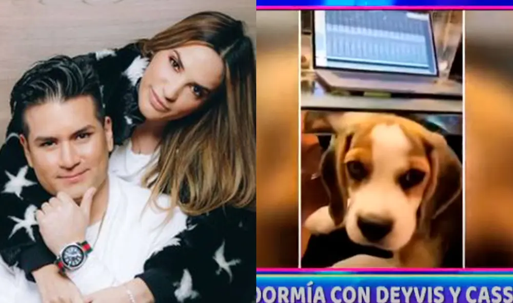 Cassandra Sánchez y Deyvis Orosco aseguran que la información de Magaly Medina tiene errores. Foto: captura/ATV/Instagram Cassandra Sánchez y Deyvis Orosco aseguran que la información de Magaly Medina tiene errores. Foto: captura/ATV/Instagram
