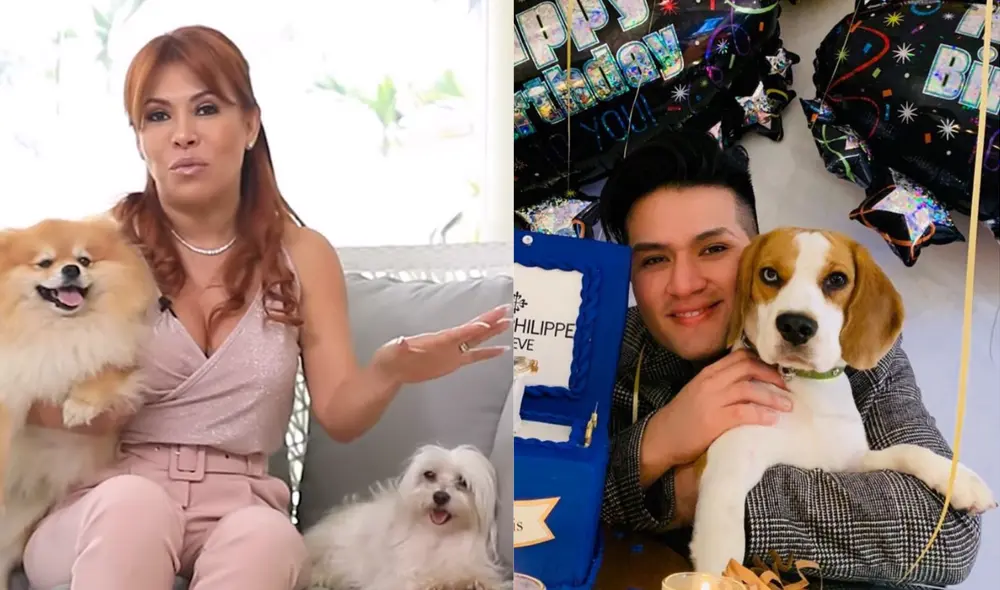 Magaly se mostró feliz con su perro Aston en redes luego de mostrar a las mascotas de Deyvis y Cassandra en un hospedaje canino. Foto: Magaly Medina/YouTube, Deyvis Orosco/Instagram