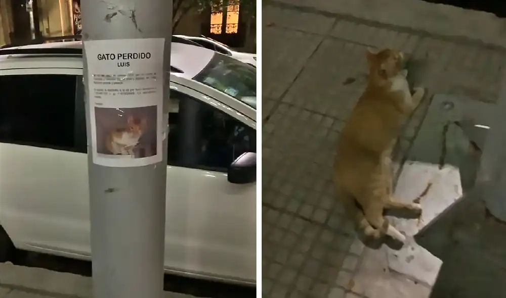 El clip ha sido visto alrededor de 2 millones de veces. Video: Facebook