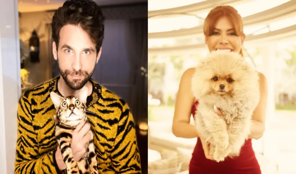 El presentador de televisión no le cree nada a Magaly Medina. Foto: Rodrigo González/Magaly Medina/Instagram El presentador de televisión no le cree nada a Magaly Medina. Foto: Rodrigo González/Magaly Medina/Instagram