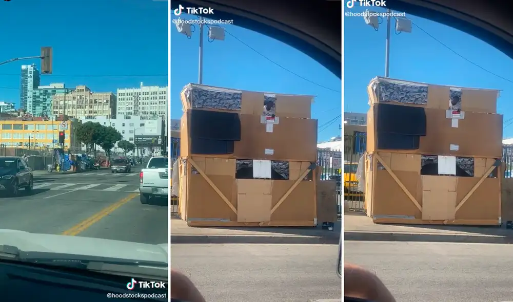 El hombre sorprendió en redes al construir una vivienda de cartón. Foto: captura de TikTok