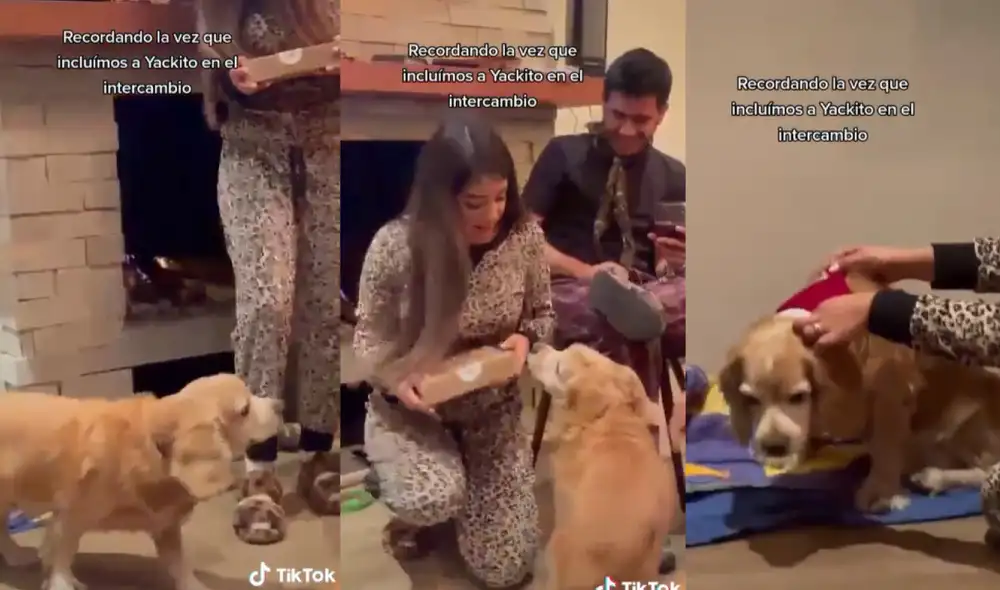 El can se emocionó cuando su dueña comenzó a hablar de él antes de entregarle su regalo. Foto: captura de TikTok