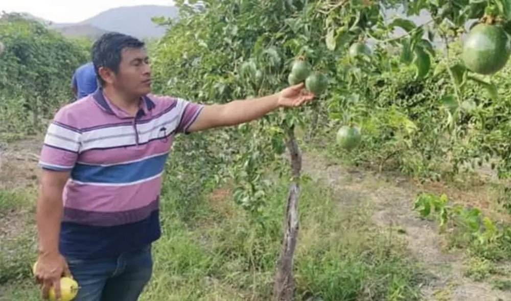 La planta de fertilizantes ayudará a mejorar la producción nacional agrícola. Foto: La Voz del Norte