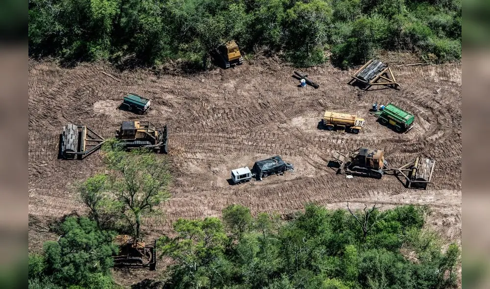 Fotografía aérea cedida por Greenpeace que muestra una explotación forestal en la provincia de Chaco (Argentina). Foto: EFE