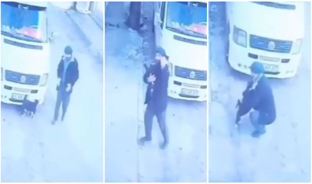 Gatito espera a su dueño fuera de su casa y lo recibe con un caluroso abrazo. Foto. captura de YouTube.