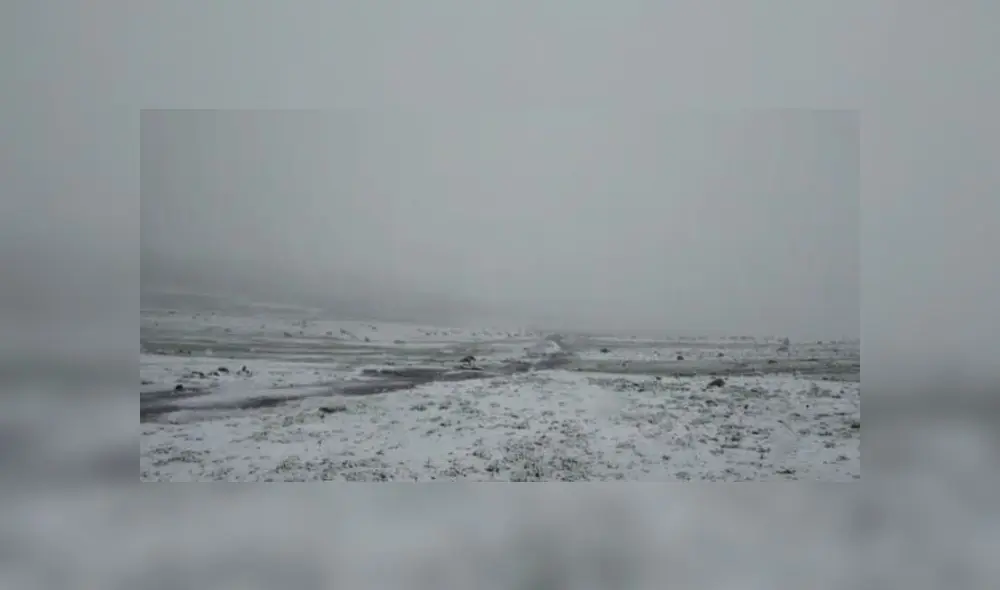 Carretera Arequipa-Puno resultó afectada por las intensas nevadas. Foto: COER Arequipa Carretera Arequipa-Puno resultó afectada por las intensas nevadas. Foto: COER Arequipa