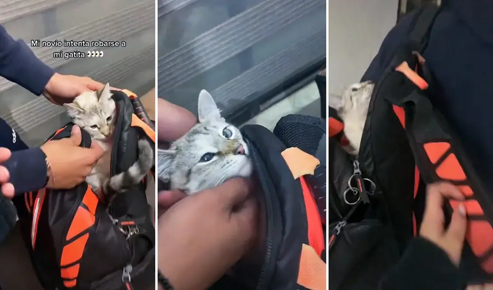 El clip consiguió más de 2,4 millones de reproducciones. Foto: captura de TikTok El clip consiguió más de 2,4 millones de reproducciones. Foto: captura de TikTok