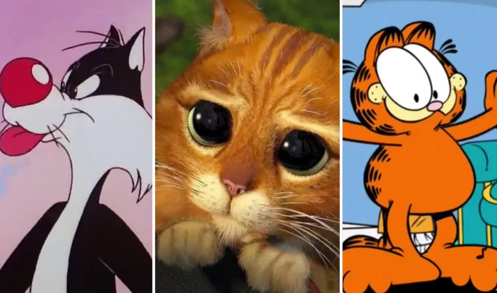 Existen muchos gatos en el cine y la televisión que se han ganado el corazón de las personas. Foto: composición La República