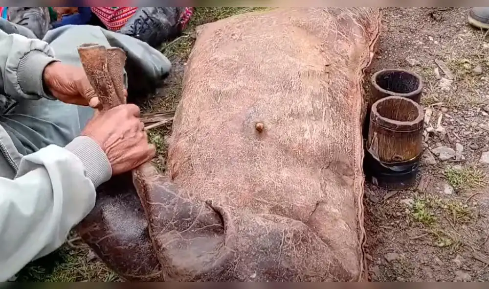 El envase que almacena la chicha se elabora con cuero de ganado, el cual se somete a un proceso de secado y, luego, lo cosen con hilos de una planta. Foto: YouTube Solischa