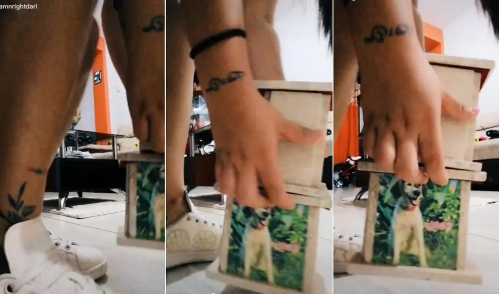 El conmovedor trend viralizado en todas las redes fue compartido por miles de usuarios que dejaron sus reacciones en los comentarios. Foto: captura de TikTok