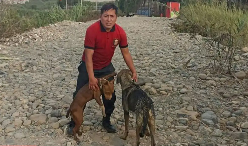 Luego de una ardua labor de rescate, Rafel Quiroga compartió fotos con los 2 perritos. Foto: MDM