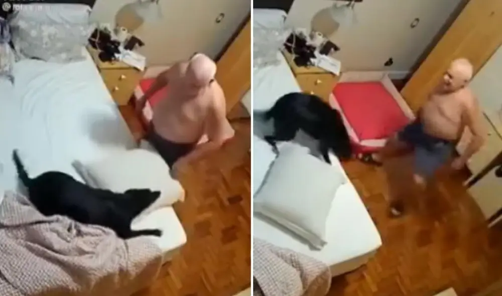 El enternecedor clip del anciano y el perrito se viralizó de inmediato en todas las redes y los usuarios lo compartieron miles de veces. Foto: captura de TikTok El enternecedor clip del anciano y el perrito se viralizó de inmediato en todas las redes y los usuarios lo compartieron miles de veces. Foto: captura de TikTok