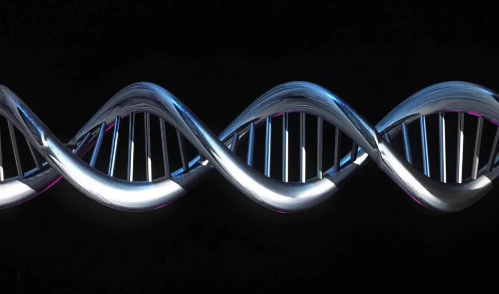 Dado que el VIH apareció en el siglo XX, la protección contra esta enfermedad no puede explicar por qué este gen de riesgo de COVID-19 se volvió tan común entre los homínidos hace 10.000 años. Foto: AFP Dado que el VIH apareció en el siglo XX, la protección contra esta enfermedad no puede explicar por qué este gen de riesgo de COVID-19 se volvió tan común entre los homínidos hace 10.000 años. Foto: AFP