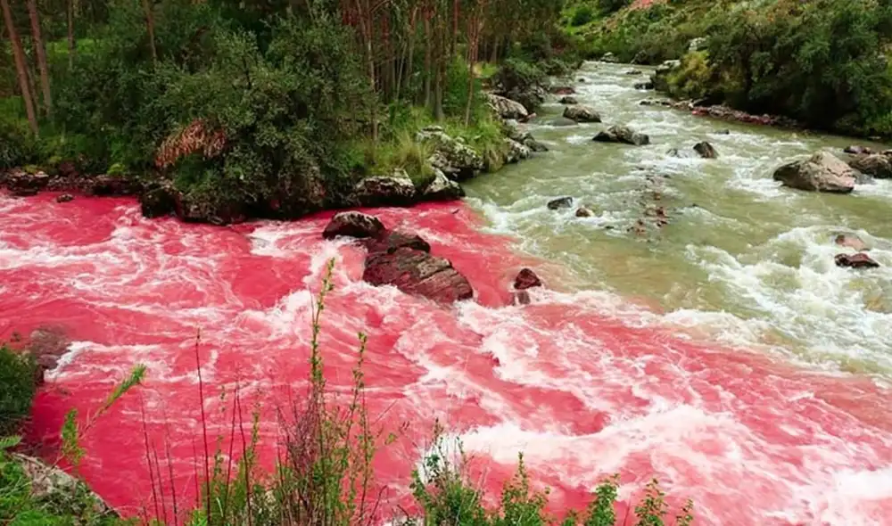 Conoce dónde está ubicado el río Rojo. Foto: Boleto a Machupicchu Conoce dónde está ubicado el río Rojo. Foto: Boleto a Machupicchu